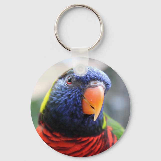 Chaveiro Lorikeet Keychain (Frente)