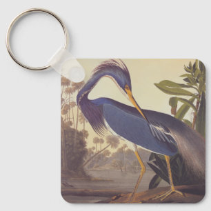 Chaveiro Lousiana Heron em Cinzas, Verde e Azul em Audubon