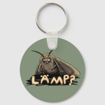 Luminária? Moth Meme