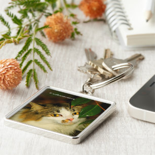 Chaveiro Lunático o gato e a camélia