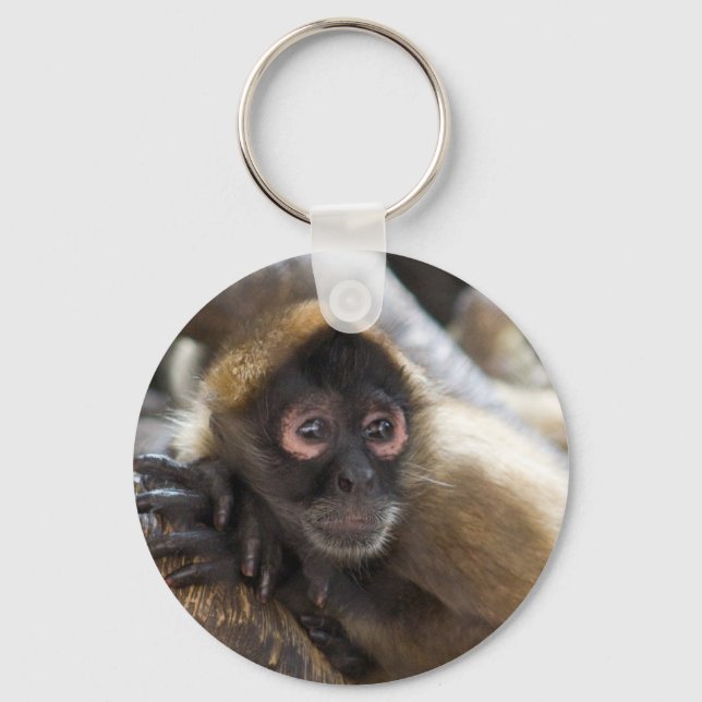 Chaveiro macaco-aranha (Frente)