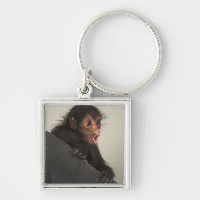 Chaveiro Macaco-aranha-de-cara-vermelha Ateles paniscus) (Frente)