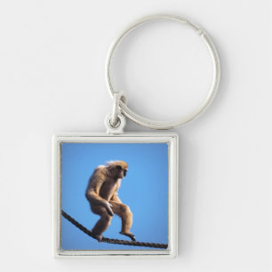 Chaveiro macaco que anda na corda