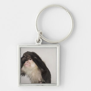 Chaveiro Macaco que cobre seus olhos