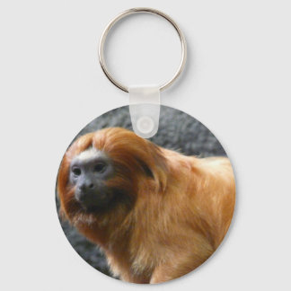 Chaveiro macaco-tamarino