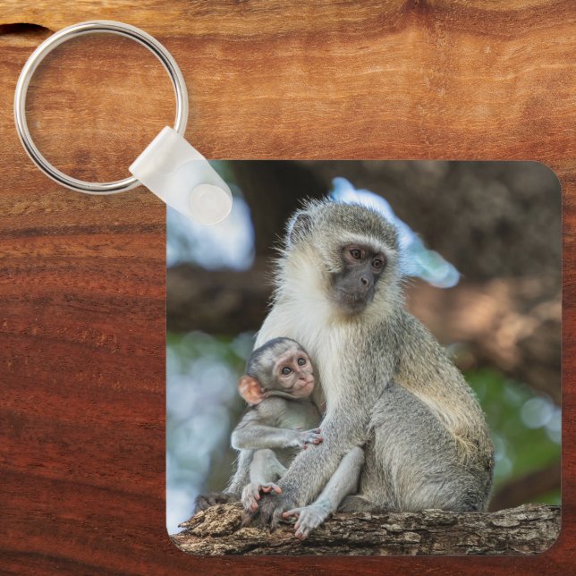 Chaveiro Macaco Vervet, Natureza Gentil (Frente)