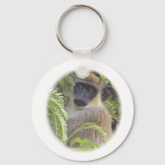 Chaveiro Macaco Vervet Verde