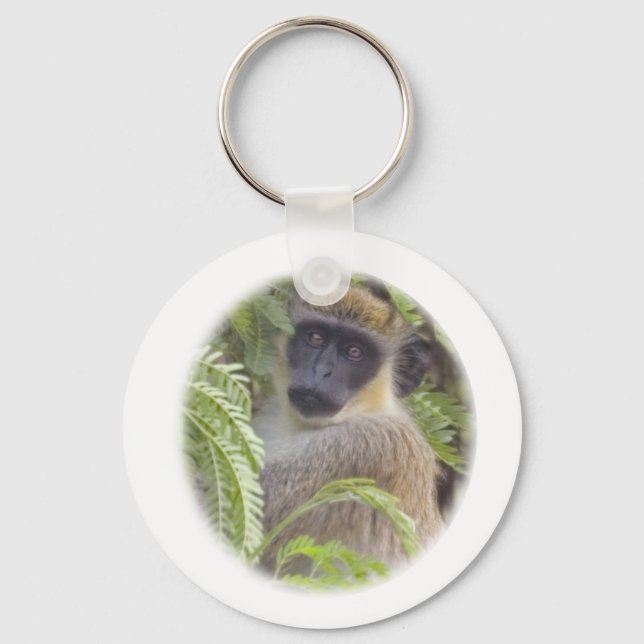 Chaveiro Macaco Vervet Verde (Frente)