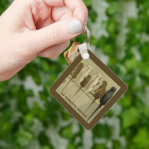 Macacos - Aniversário Comercial do Grupo Personali