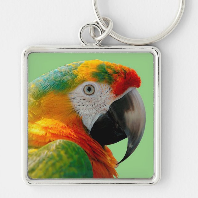 Chaveiro Macaw (Frente)