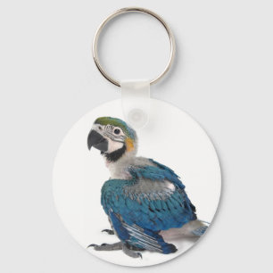 Chaveiro Macaw azul e amarelo