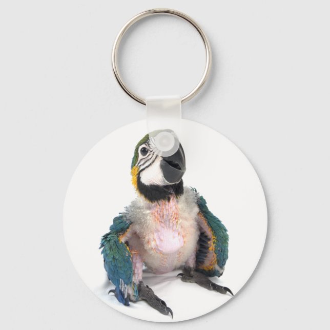 Chaveiro Macaw azul e amarelo (Frente)