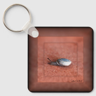 Chaveiro Macro Fotografia de Caracol em Terracotta 