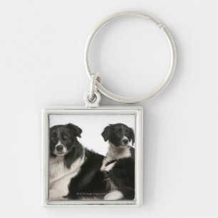 Chaveiro Mãe border collie e filhote de cachorro
