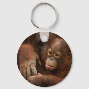 Chaveiro Mãe de orangotango e bebê no zoológico