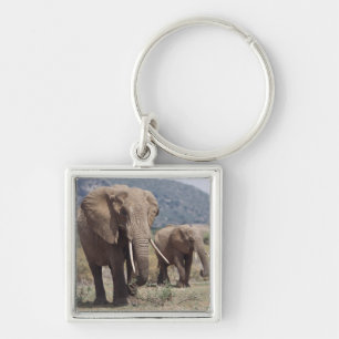 Chaveiro Mãe elefante andando com filhote de elefante