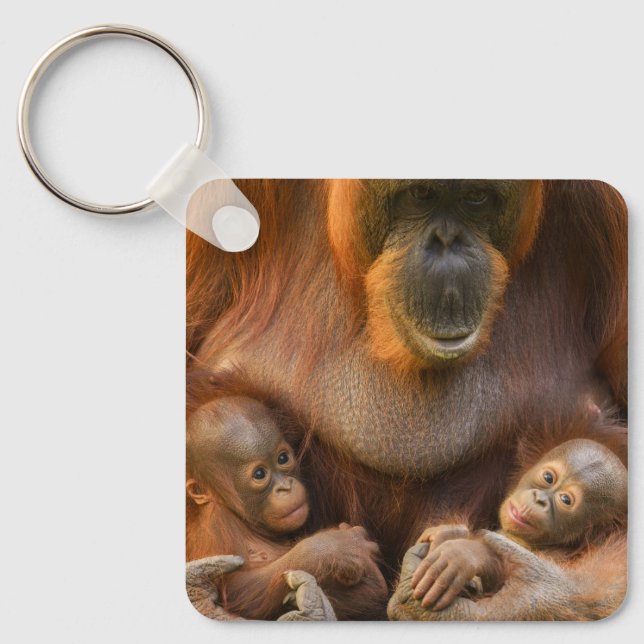 Chaveiro Mãe Orangutan Segurando Dois Bebês (Frente)