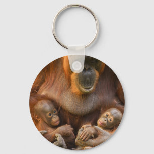 Chaveiro Mãe Orangutan Segurando Dois Bebês