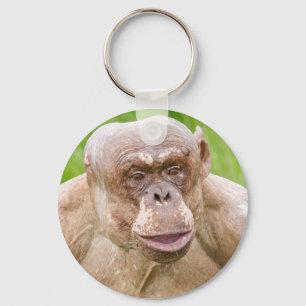 Chaveiro Magnet Chimpanzé Sem Cabelos
