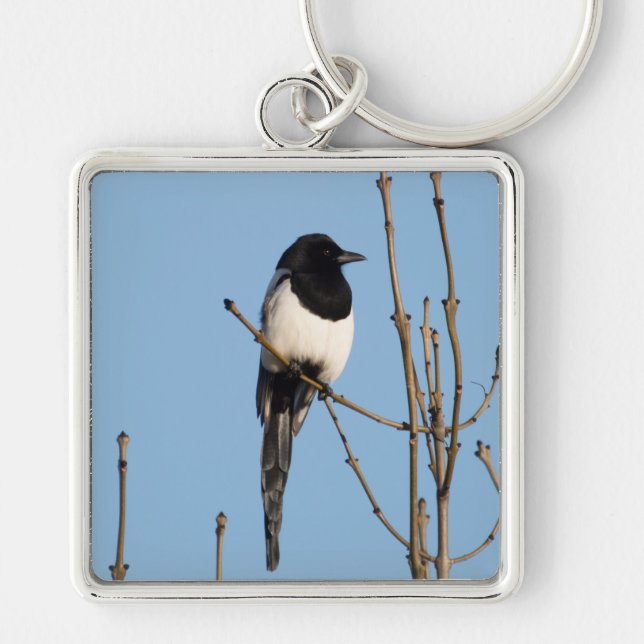 Chaveiro Magpie (Frente)