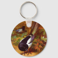 Magpies