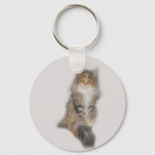Chaveiro Maine Coon Cat - Patch