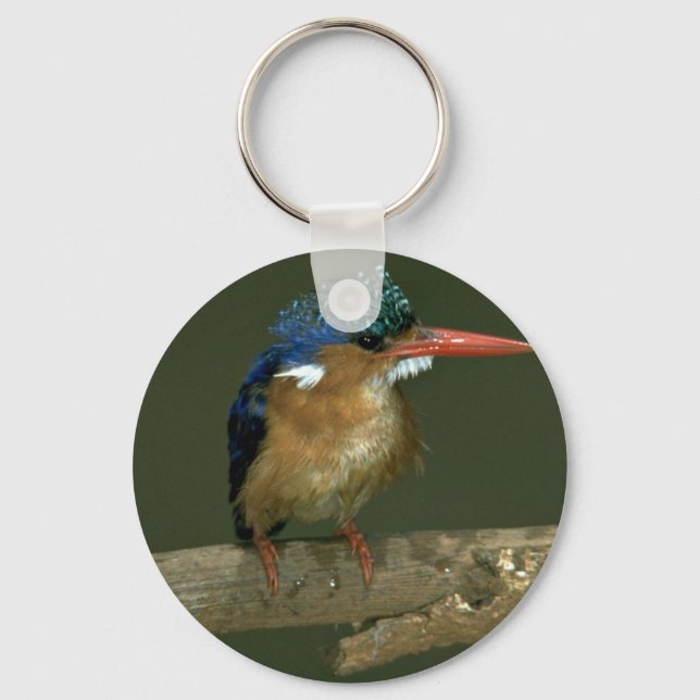 Chaveiro Malachite Kingfisher (Frente)