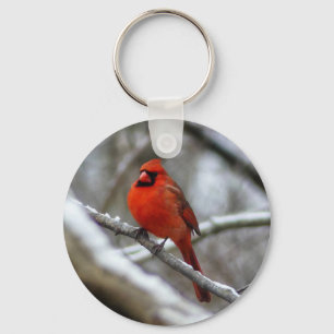 Chaveiro Male Cardinal