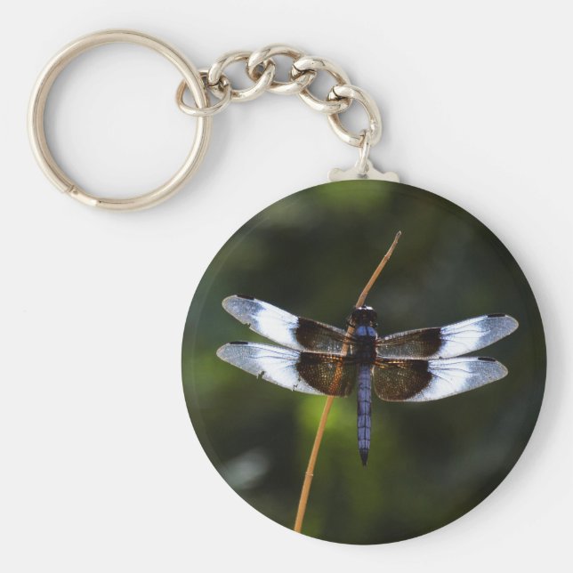 Chaveiro Male Widow Skimmer Dragonfly (Frente)