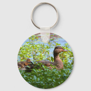 Chaveiro Mallard e Ducklings por Shirley Taylor