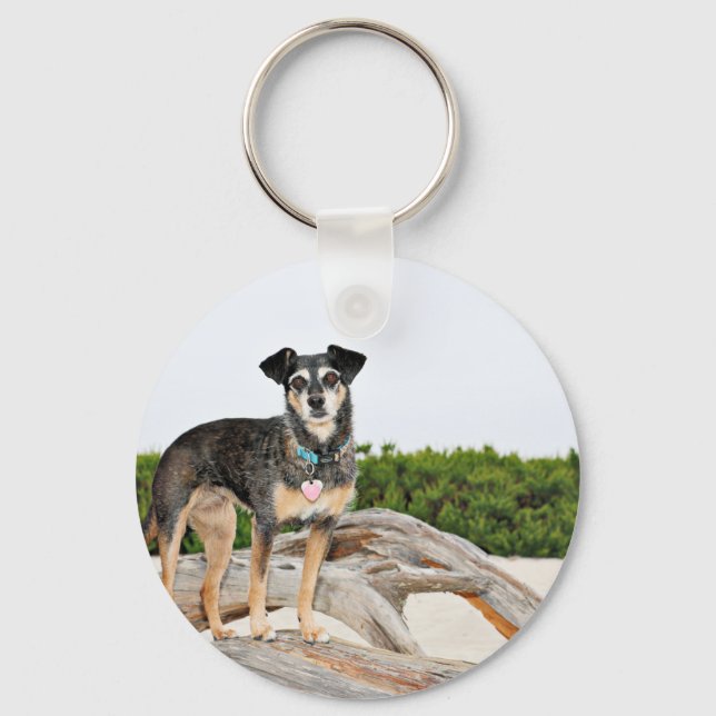 Chaveiro Manchester Terrier X - Jordânia - Derr (Frente)