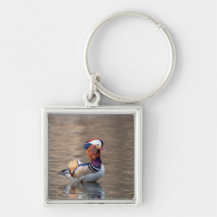 Chaveiro Mandarin Duck