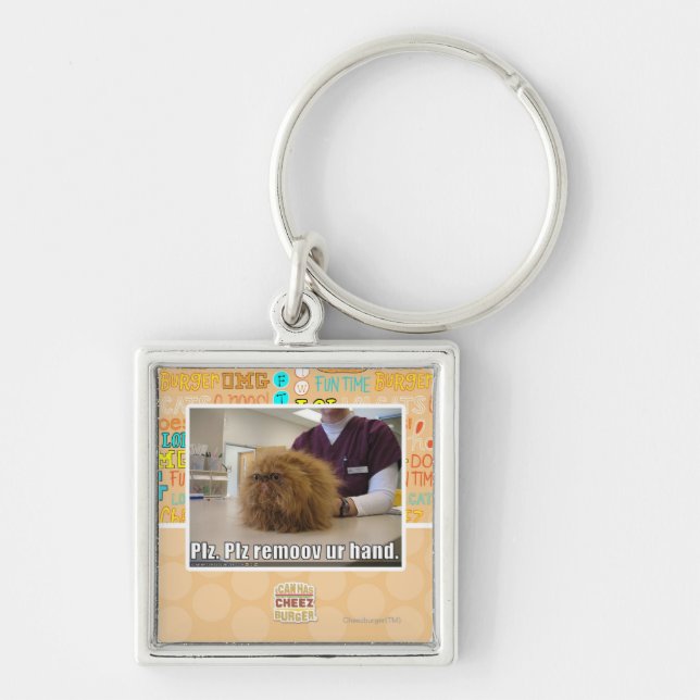 Chaveiro Mão do ur do remoov do PLZ (Frente)