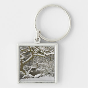 Chaveiro Mapa japonês coberto de neve