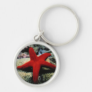 Chaveiro Mar Vermelho dos peixes   da estrela