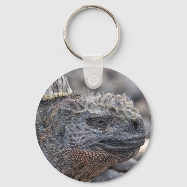 Chaveiro Marine Iguana (Frente)