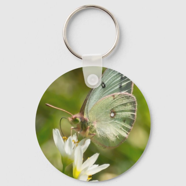 Chaveiro Mariposa Verde em Falsa Alho Roupas e Presentes (Frente)