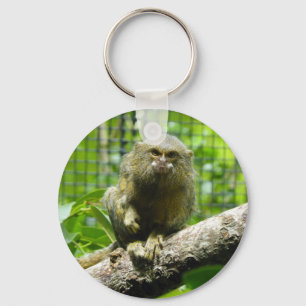 Chaveiro Marmoset de pigmeu