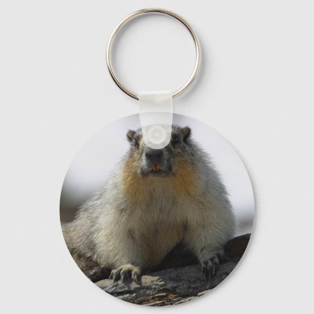 Chaveiro Marmot Amarelo Bellying (Frente)