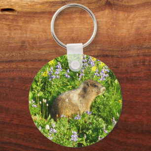 Chaveiro Marmota nas Flores Silvestres do Monte Rainier
