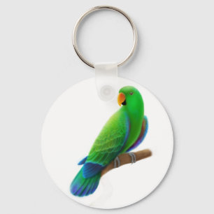Chaveiro masculino de Eclectus