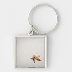 Chaveiro Maya de Riviera