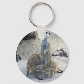 Chaveiro Meerkat