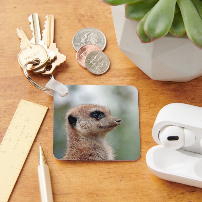 Chaveiro Meerkat 180 (Mesa)