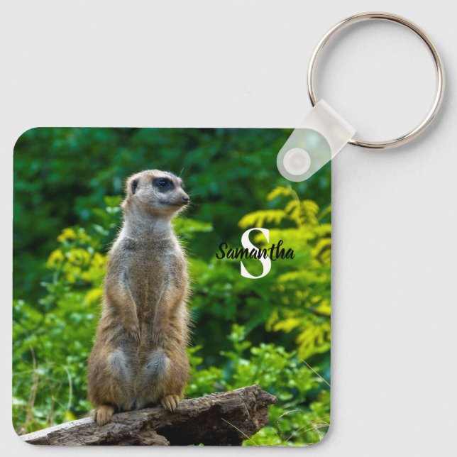 Chaveiro Meerkat Keyring (Verso)