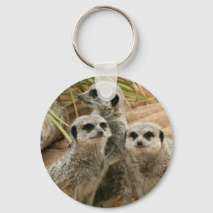 Chaveiro Meerkats na vigia