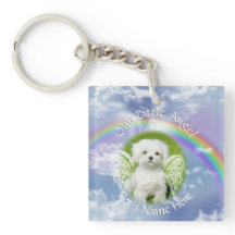 Memorial Celestial das Fotos do Seu Pet