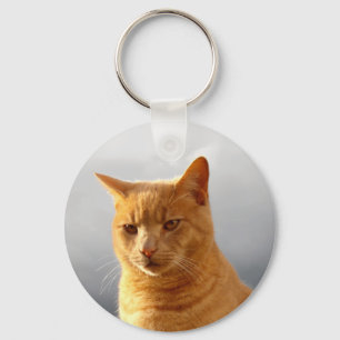 Chaveiro Merlin, o gato gengibre