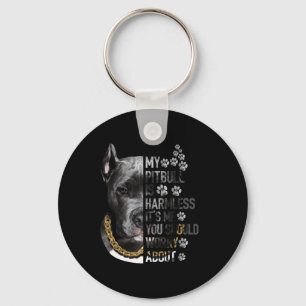 Chaveiro Meu Pitbull é inofensivo. Sou eu que você deveria