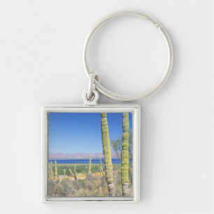 Chaveiro México, Baja California Sur, Mulege, Bahia